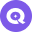 Qualz.ai Logo